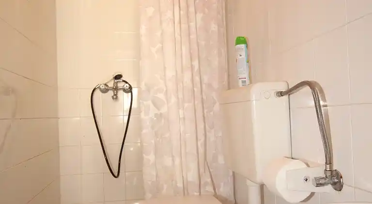 1-Zimmer-Ferienwohnung am Strand Rukavac, Vis (A-1154-a)
