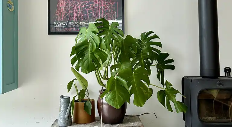 Moderne og hyggeligt sommerhus i skønne Balka