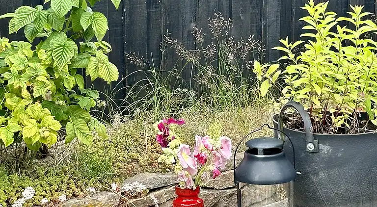 Moderne og hyggeligt sommerhus i skønne Balka