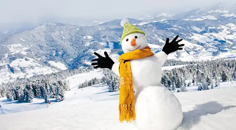 Hytte i Sankt Lorenzen ob Murau