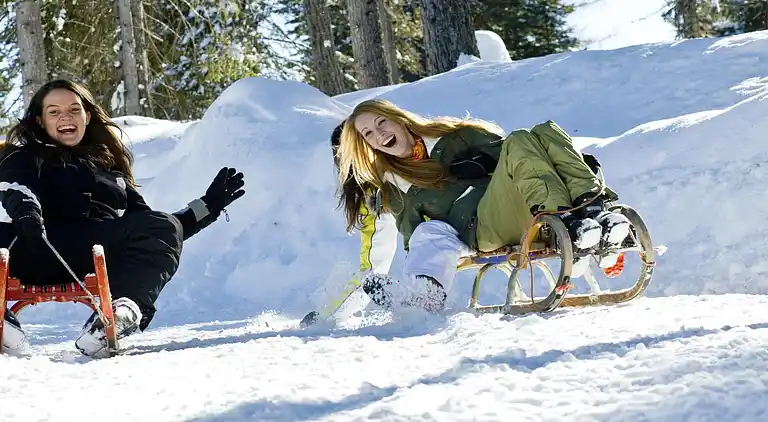 Hytte i Sankt Lorenzen ob Murau