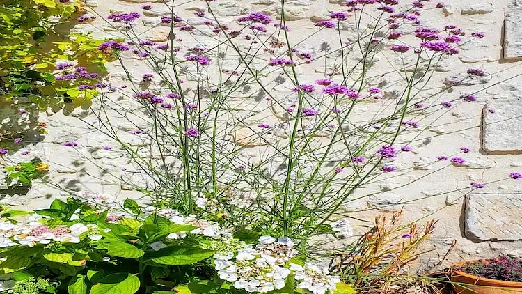 Holiday home in Verteillac