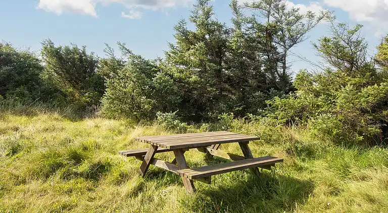 Sommerhus ved Vrist Strand