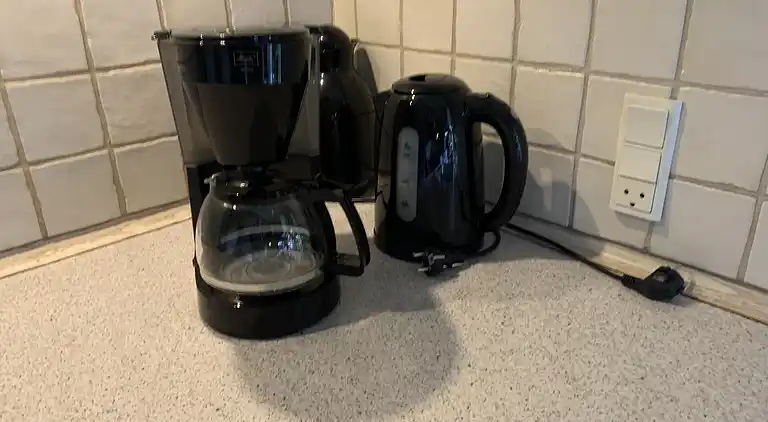 Oplev Nordsjællandsk bøgeskov  og strand 