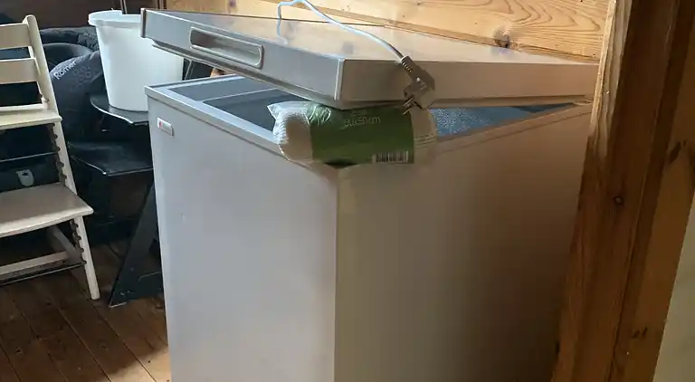 Oplev Nordsjællandsk bøgeskov  og strand 