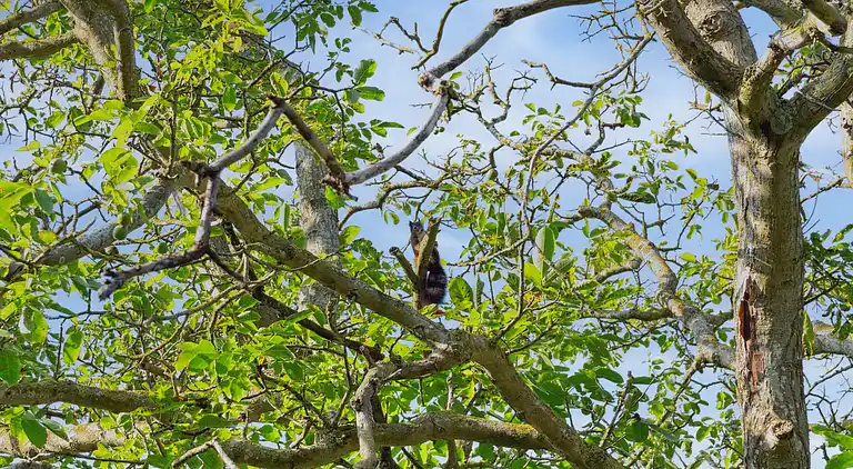 Gemütliches Haus in ruhiger Umgebung