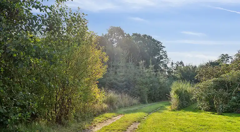 Gemütliches Haus in ruhiger Umgebung