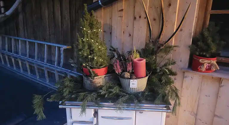 Apartment in Hollersbach im Pinzgau