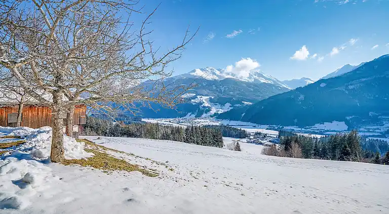 Apartment in Hollersbach im Pinzgau