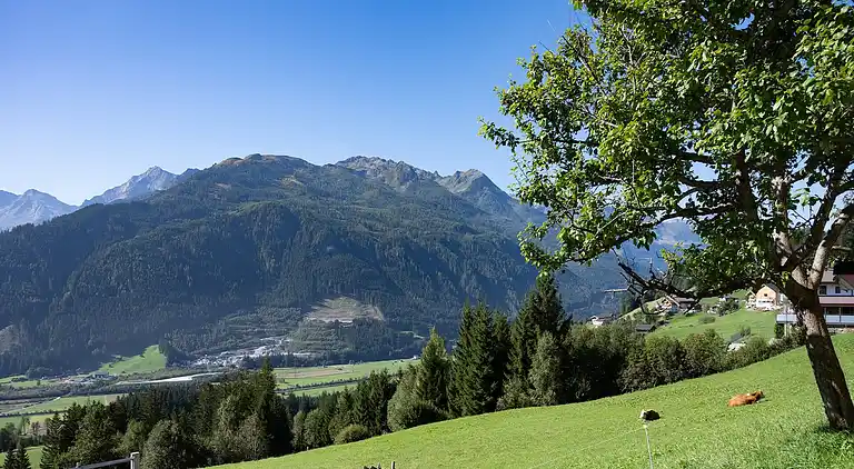 Apartment in Hollersbach im Pinzgau
