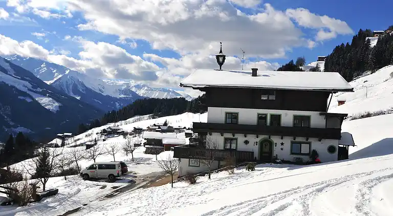 Apartment in Hollersbach im Pinzgau