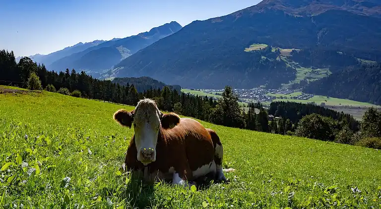 Apartment in Hollersbach im Pinzgau