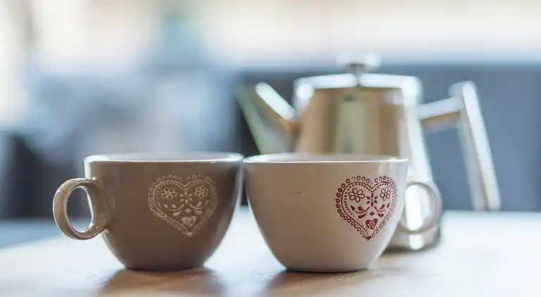 Hytte i Sankt Lorenzen ob Murau