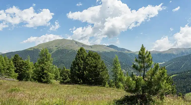 Cottage in Moarschaft