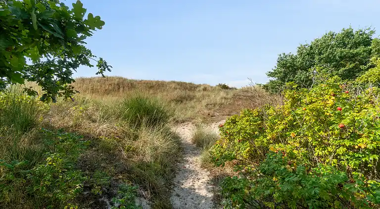 Klassisk sommerhus ved badestrand i Boderne