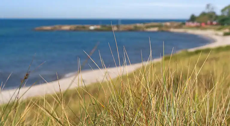 Klassisk sommerhus ved badestrand i Boderne