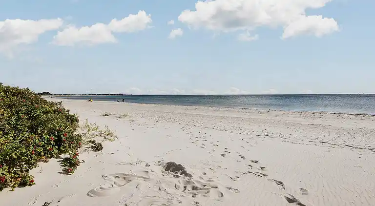 Holiday home in Skovmose