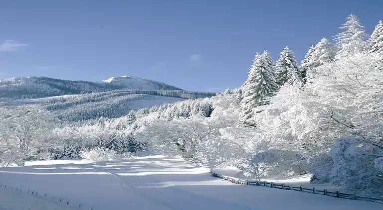 Apartment in Stöckl
