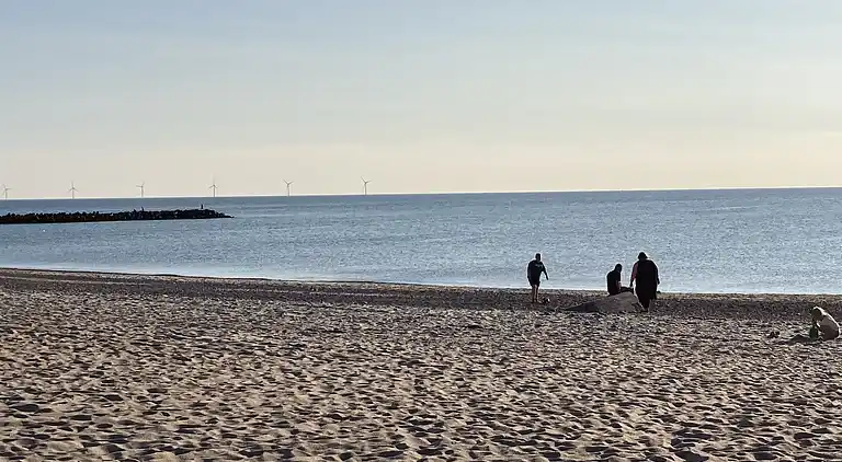 Hyggeligt sommerhus tæt på stranden
