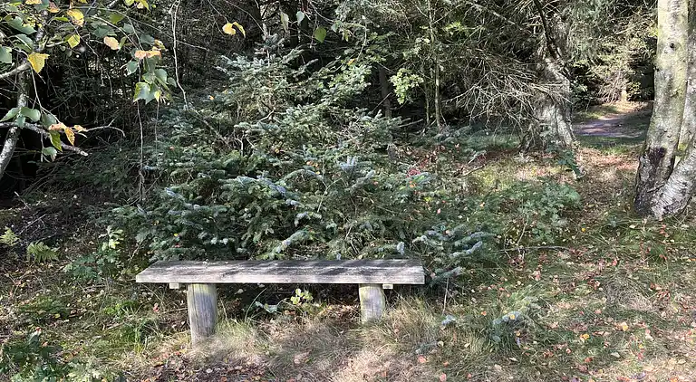 Hyggeligt feriehus med plads til afslapning