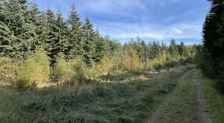 Hyggeligt feriehus med plads til afslapning