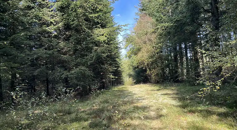 Hyggeligt feriehus med plads til afslapning