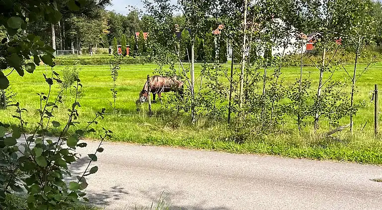 Holiday home in Gullspång S