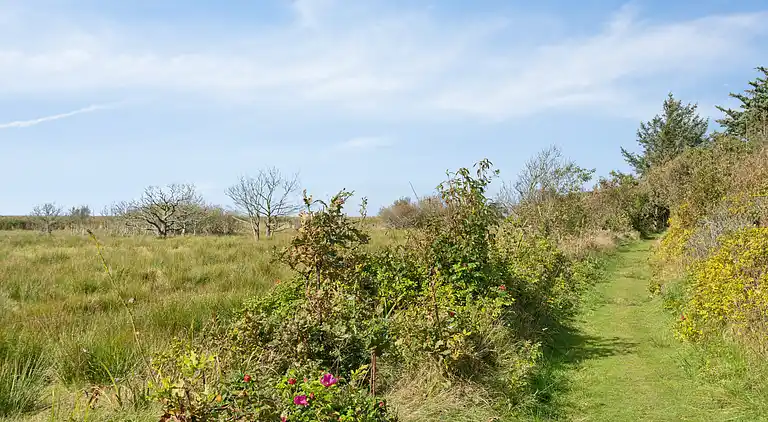 Genießen Sie ein Ferienhaus nur 200 M vom Fjord