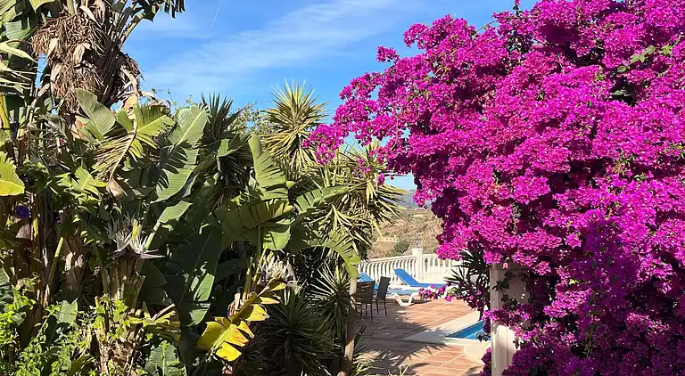 Villa in Vélez-Málaga