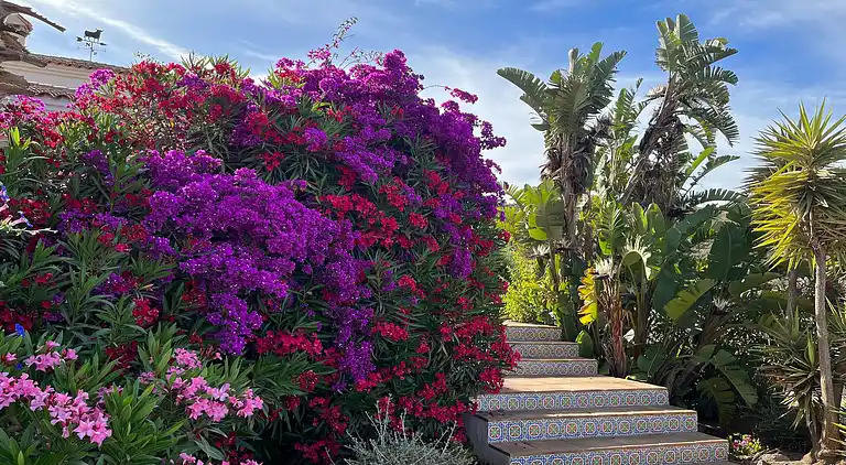 Villa in Vélez-Málaga