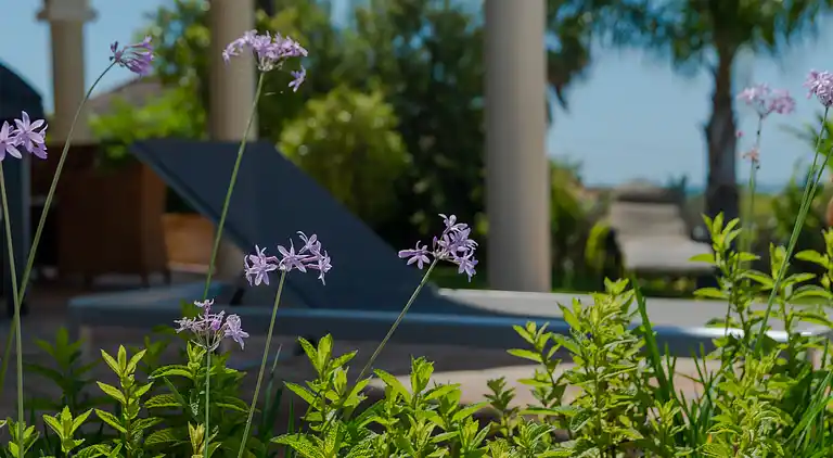 Villa near beach in Marbella