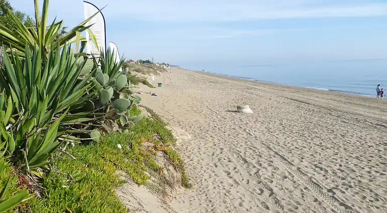 Villa near beach in Marbella