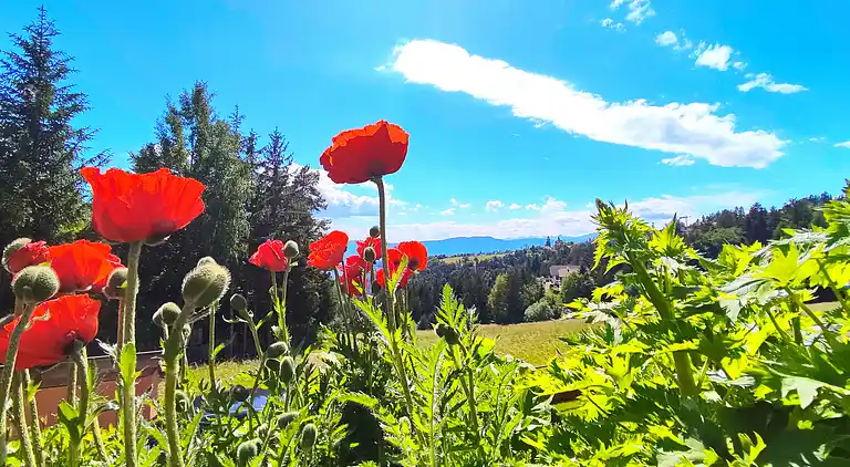 Ferielejlighed i Am Kaseracker