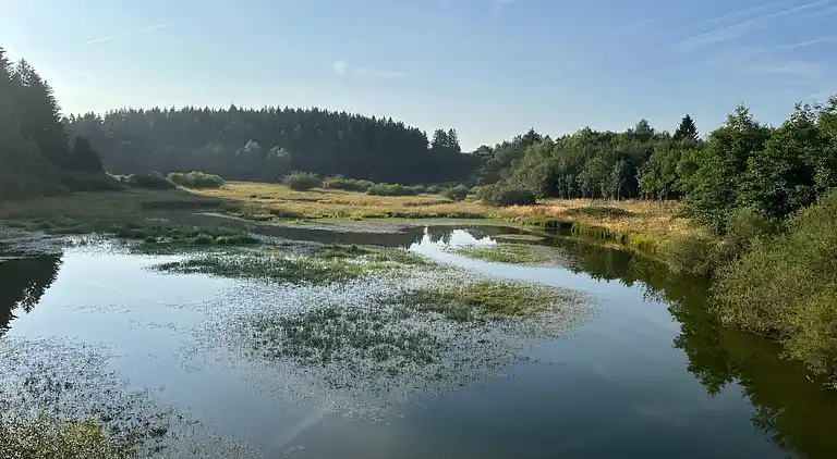 Bungalow in Rocherath