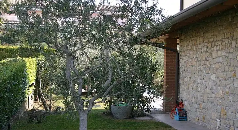 Vakantiehuis in Lazise