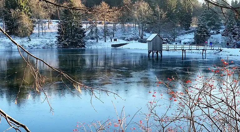 Holiday home in Hahnenklee