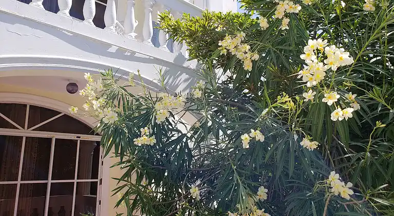 Costambar Seaside Apartment mit Pool