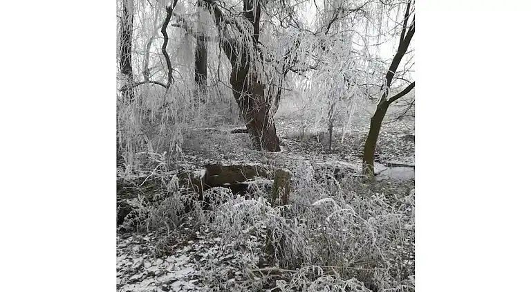 Ferienhaus in Herrentrup