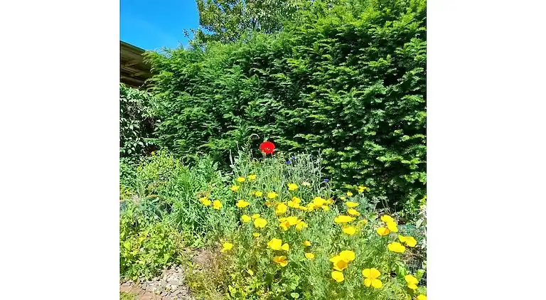 Ferienhaus in Herrentrup