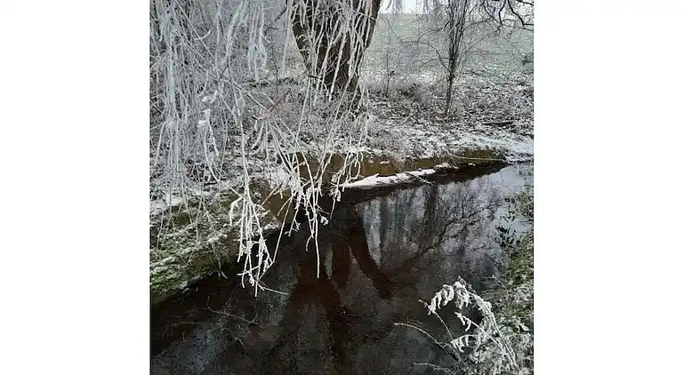 Ferienhaus in Herrentrup