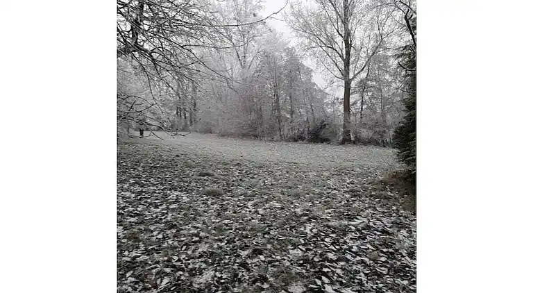 Ferienhaus in Herrentrup