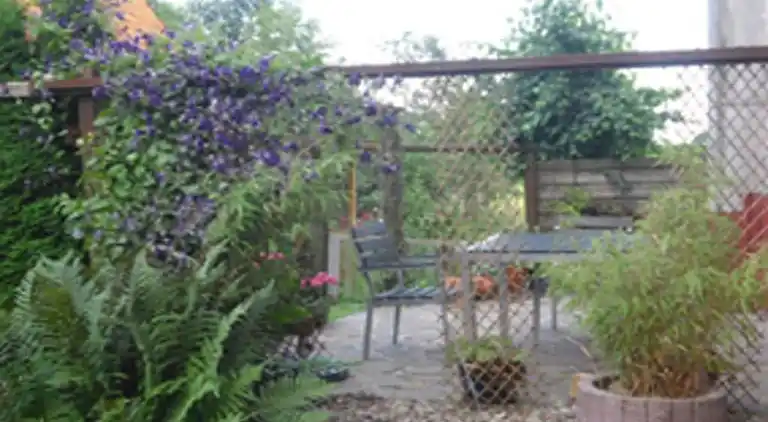 Ferienhaus in Herrentrup