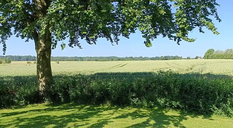 Wohnen Sie schön in naturschöner Umgebung