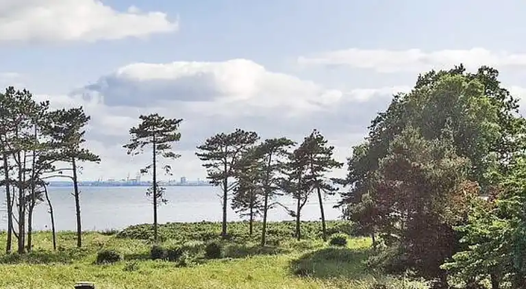 Gemütliches, reetgedecktes Ferienhaus-ladestation