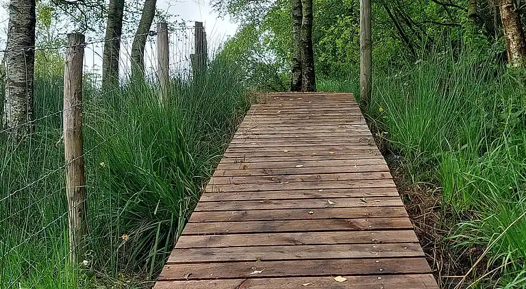 Hyggelig feriehytte ved Grindsted