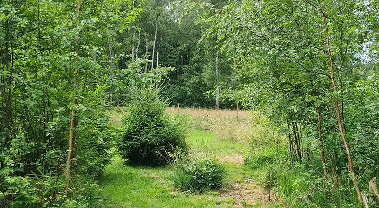 Stort børnevenligt sommerhus  i Nordsjælland