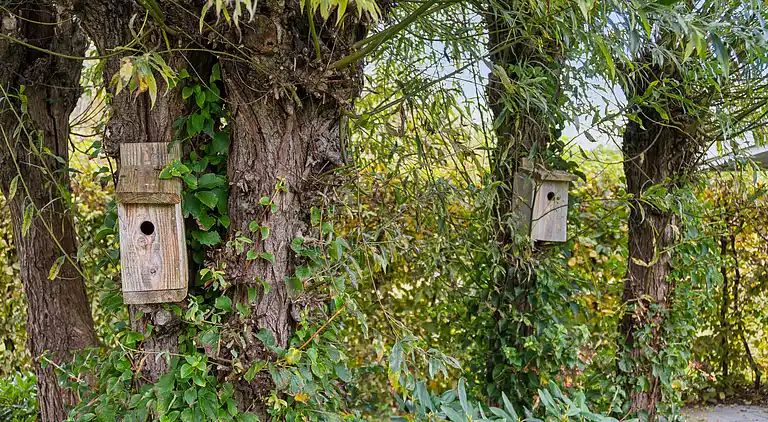 Neues Ferienhaus in Strandnähe