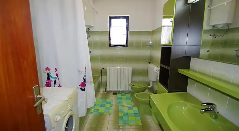 Apartment in Šajini