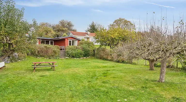 Udsigt til hav og natur i hyggeligt sommerhus