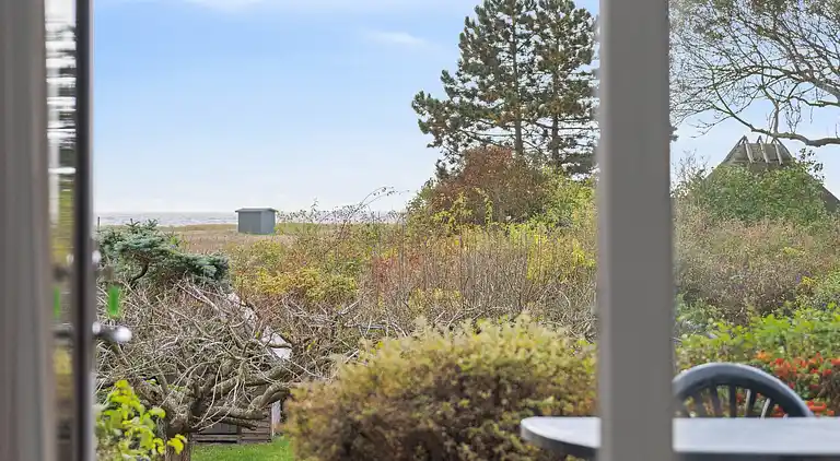 Sommerhus og anneks omringet af natur